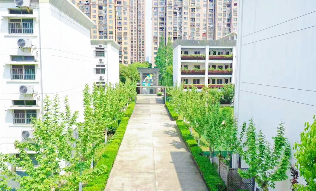 這是一張圖片 這是一張圖片