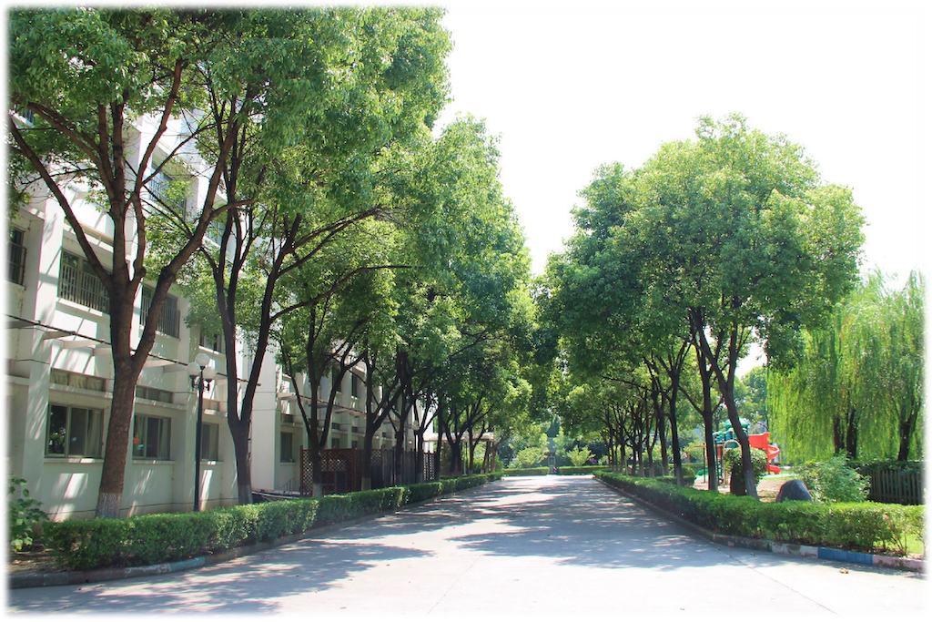 這是一張圖片